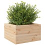 Massive Holzblumenkasten aus Kiefer 40x40x23 cm von , Töpfe und Pflanzgefäße - Ref: Foro24-847178, Preis: 46,55 €, Rabatt: %