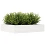 Massive weiße Kiefernholz-Blumenkasten 110x110x23 cm von , Töpfe und Pflanzgefäße - Ref: Foro24-847214, Preis: 102,57 €, Raba...
