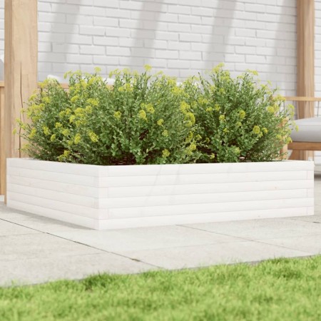 Blumenkasten aus massiver Kiefer 100x100x23 cm von , Töpfe und Pflanzgefäße - Ref: Foro24-847209, Preis: 116,72 €, Rabatt: %