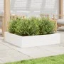 Blumenkasten aus massiver Kiefer 100x100x23 cm von , Töpfe und Pflanzgefäße - Ref: Foro24-847209, Preis: 94,77 €, Rabatt: %