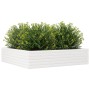 Blumenkasten aus massiver Kiefer 100x100x23 cm von , Töpfe und Pflanzgefäße - Ref: Foro24-847209, Preis: 116,72 €, Rabatt: %