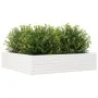Blumenkasten aus massiver Kiefer 100x100x23 cm von , Töpfe und Pflanzgefäße - Ref: Foro24-847209, Preis: 94,77 €, Rabatt: %