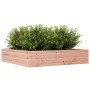 Massive Blumenkasten aus Douglasien-Tannenholz, 110x110x23 cm. von , Töpfe und Pflanzgefäße - Ref: Foro24-847216, Preis: 91,1...