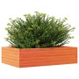 Massive Holzblumenkasten aus braunem Kiefernholz mit Wachsbeschichtung, 90x60x23 cm. von , Töpfe und Pflanzgefäße - Ref: Foro...