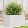 Jardinera madera maciza de pino blanco 70x70x45,5 cm by , Pots and planters - Ref: Foro24-847254, Price: 126,53 €, Discount: %