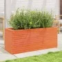 Massive Holzblumenkasten aus braun gewachster Kiefer 110x40x45,5 cm. von , Töpfe und Pflanzgefäße - Ref: Foro24-847275, Preis...