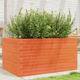 Massive Pinienholz-Pflanzgefäß in brauner Wachsoptik, 90x60x45,5 cm. von , Töpfe und Pflanzgefäße - Ref: Foro24-847280, Preis...