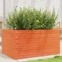 Massive Pinienholz-Pflanzgefäß in brauner Wachsoptik, 90x60x45,5 cm. von , Töpfe und Pflanzgefäße - Ref: Foro24-847280, Preis...