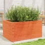 Massive Pinienholz-Pflanzgefäß in brauner Wachsoptik, 90x60x45,5 cm. von , Töpfe und Pflanzgefäße - Ref: Foro24-847280, Preis...
