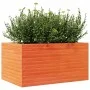 Massive Pinienholz-Pflanzgefäß in brauner Wachsoptik, 90x60x45,5 cm. von , Töpfe und Pflanzgefäße - Ref: Foro24-847280, Preis...