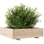 Jardinera de madera maciza de pino 90x90x26,5 cm by , Pots and planters - Ref: Foro24-847313, Price: 86,44 €, Discount: %