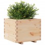 Jardinera madera maciza de pino 60x60x49,5 cm von , Töpfe und Pflanzgefäße - Ref: Foro24-847358, Preis: 106,66 €, Rabatt: %