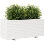 Jardinera madera maciza de pino blanco 110x40x49,5 cm von , Töpfe und Pflanzgefäße - Ref: Foro24-847379, Preis: 188,34 €, Rab...