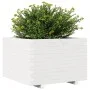 Jardinera madera maciza de pino blanco 70x70x49,5 cm by , Pots and planters - Ref: Foro24-847364, Price: 132,01 €, Discount: %