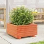 Solid pine wood planter in brown wax 50x50x26.5 cm by , Pots and planters - Ref: Foro24-847295, Price: 57,18 €, Discount: %