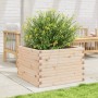 Massive Holzblumenkasten aus Kiefer 70x70x46 cm von , Töpfe und Pflanzgefäße - Ref: Foro24-3282414, Preis: 141,45 €, Rabatt: %