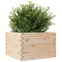 Jardinera de madera maciza de pino 70x70x46 cm by , Pots and planters - Ref: Foro24-3282414, Price: 141,45 €, Discount: %