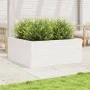 Jardinera madera maciza de pino blanco 110x110x46 cm by , Pots and planters - Ref: Foro24-3282435, Price: 244,11 €, Discount: %