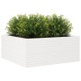 Blumenkasten aus massiver Kiefer 110x110x46 cm von , Töpfe und Pflanzgefäße - Ref: Foro24-3282435, Preis: 247,25 €, Rabatt: %