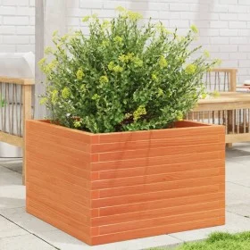 Jardinera de madera maciza de pino marrón cera 70x70x46 cm by , Pots and planters - Ref: Foro24-3282416, Price: 161,67 €, Dis...