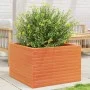 Jardinera de madera maciza de pino marrón cera 70x70x46 cm by , Pots and planters - Ref: Foro24-3282416, Price: 161,66 €, Dis...