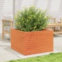 Jardinera de madera maciza de pino marrón cera 70x70x46 cm de , Maceteros y jardineras - Ref: Foro24-3282416, Precio: 163,76 ...