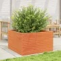 Jardinera madera maciza de pino marrón cera 80x80x46 cm by , Pots and planters - Ref: Foro24-3282421, Price: 181,05 €, Discou...