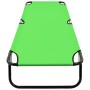 Tumbona plegable de acero verde de vidaXL, Tumbonas - Ref: Foro24-310347, Precio: 54,67 €, Descuento: %