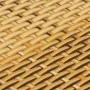 Light brown synthetic rattan balcony awning 600x100 cm by , fence panels - Ref: Foro24-156276, Price: 71,81 €, Discount: %