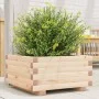 Jardinera de madera maciza de pino 50x50x26,5 cm de , Maceteros y jardineras - Ref: Foro24-847293, Precio: 53,94 €, Descuento: %