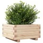 Jardinera de madera maciza de pino 50x50x26,5 cm de , Maceteros y jardineras - Ref: Foro24-847293, Precio: 53,94 €, Descuento: %