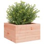 Massive Blumenkasten aus Douglasien-Tannenholz 40x40x23 cm von , Töpfe und Pflanzgefäße - Ref: Foro24-847181, Preis: 39,94 €,...