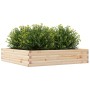 Massive Holzblumenkasten aus Kiefer 110x110x23 cm von , Töpfe und Pflanzgefäße - Ref: Foro24-847213, Preis: 106,00 €, Rabatt: %
