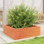 Solid pine wood brown waxed planter 70x70x23 cm by , Pots and planters - Ref: Foro24-847195, Price: 68,82 €, Discount: %