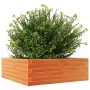 Solid pine wood brown waxed planter 70x70x23 cm by , Pots and planters - Ref: Foro24-847195, Price: 68,82 €, Discount: %