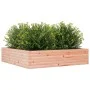 Massive Blumenkasten aus Douglasien-Tannenholz, 100x100x23 cm. von , Töpfe und Pflanzgefäße - Ref: Foro24-847211, Preis: 83,9...