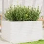 Massive Blumenkasten aus weißer Kiefer 90x60x45,5 cm von , Töpfe und Pflanzgefäße - Ref: Foro24-847279, Preis: 123,59 €, Raba...