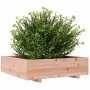 Jardinera madera maciza de abeto Douglas 90x90x26,5 cm de , Maceteros y jardineras - Ref: Foro24-847316, Precio: 101,31 €, De...