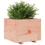Massive Blumenkasten aus Douglasien-Tannenholz, 60x60x49,5 cm. von , Töpfe und Pflanzgefäße - Ref: Foro24-847361, Preis: 112,...
