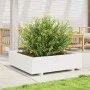 Jardinera de madera maciza de pino blanco 90x90x26,5 cm de , Maceteros y jardineras - Ref: Foro24-847314, Precio: 102,67 €, D...