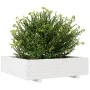 Jardinera de madera maciza de pino blanco 90x90x26,5 cm de , Maceteros y jardineras - Ref: Foro24-847314, Precio: 102,67 €, D...