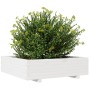 Massive Blumenkasten aus weißer Kiefer 90x90x26,5 cm von , Töpfe und Pflanzgefäße - Ref: Foro24-847314, Preis: 115,26 €, Raba...