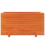 Massive Pinienholz-Pflanzgefäß in brauner Wachsoptik, 90x40x49,5 cm. von , Töpfe und Pflanzgefäße - Ref: Foro24-847375, Preis...