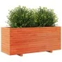 Massive Pinienholz-Pflanzgefäß in brauner Wachsoptik, 110x40x49,5 cm. von , Töpfe und Pflanzgefäße - Ref: Foro24-847380, Prei...