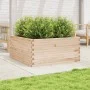 Massive Holzblumenkasten aus Kiefer 100x100x46 cm von , Töpfe und Pflanzgefäße - Ref: Foro24-3282429, Preis: 185,86 €, Rabatt: %