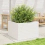 Jardinera madera maciza de pino blanco 70x70x46 cm de , Maceteros y jardineras - Ref: Foro24-3282415, Precio: 161,66 €, Descu...