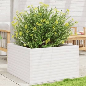 Massive weiße Kiefernholz-Pflanzschale 80x80x46 cm von , Töpfe und Pflanzgefäße - Ref: Foro24-3282420, Preis: 183,40 €, Rabat...