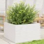 Massive weiße Kiefernholz-Pflanzschale 80x80x46 cm von , Töpfe und Pflanzgefäße - Ref: Foro24-3282420, Preis: 181,08 €, Rabat...