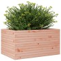 Massive Blumenkasten aus Douglasien-Tannenholz, 90x60x46 cm. von , Töpfe und Pflanzgefäße - Ref: Foro24-3282457, Preis: 156,3...