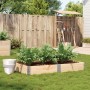 Jardinera de madera maciza de pino 150x100 cm de , Maceteros y jardineras - Ref: Foro24-3295411, Precio: 53,16 €, Descuento: %